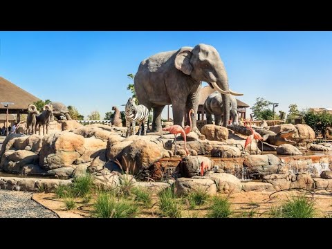 ЗООпарк в Дубае (Dubai Safari Park). Кормление жирафов. Сафари.