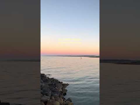 Friendships Change Just Like Forecasts Do