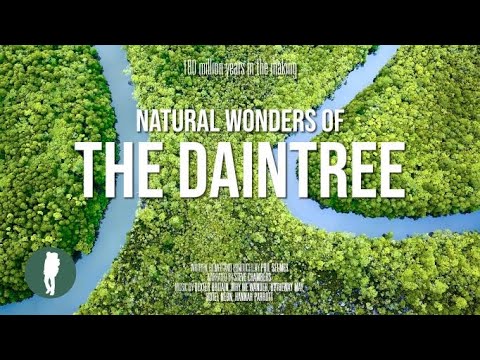 Video: Daintree Rainforest: Phau Ntawv Qhia Tag Nrho