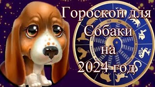 Гороскоп для собаки на 2024 год