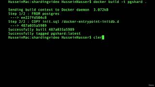 006 Spin up Docker Postgres Shards Net Worth