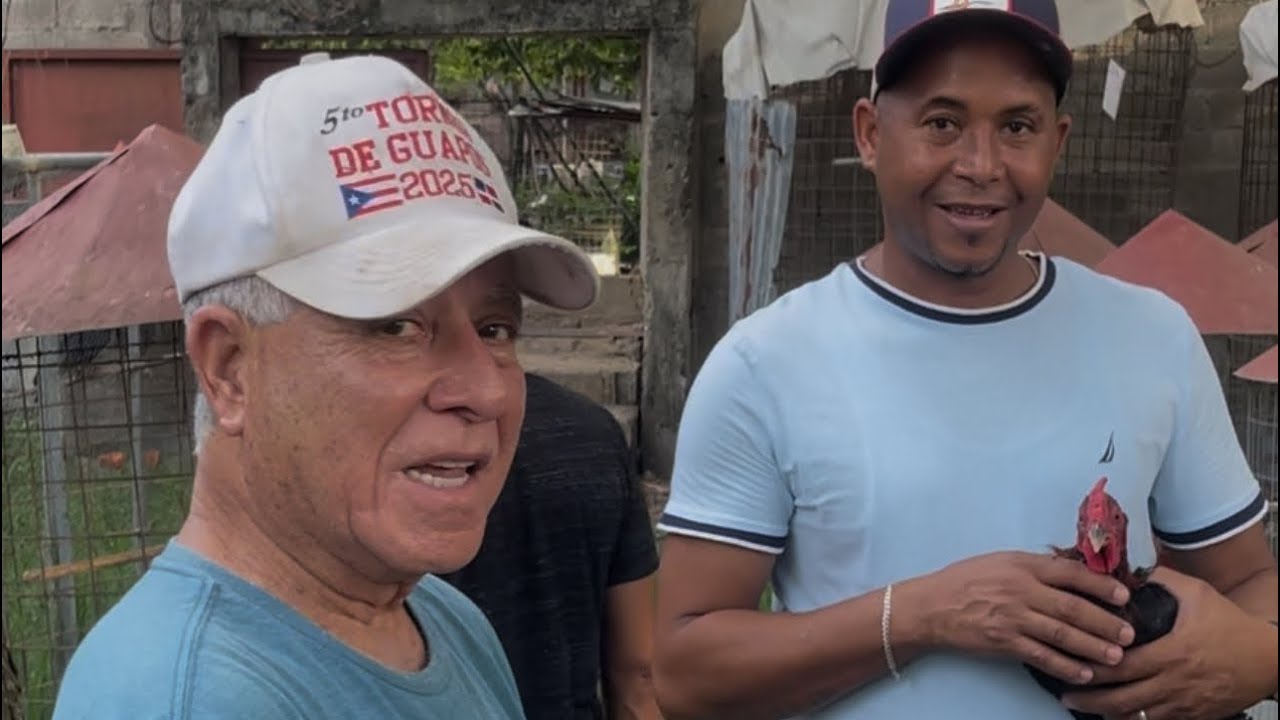 Dagoberto Fernández el caballero de los gallos  