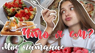 ЧТО Я ЕМ ЗА ДЕНЬ | МОЕ ПИТАНИЕ | What I Eat in a Day | КАК правильно питаться???