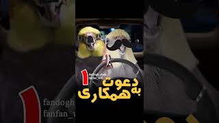 دوست داری از پرندت ویدیوی این طوری بسازم؟ 😍 بیا تلگرام بهت بگم:  https://t.me/fandogh_shah_news