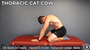 Thoracic Cat Cow | Spine Range of Motion | Flexion & Extension