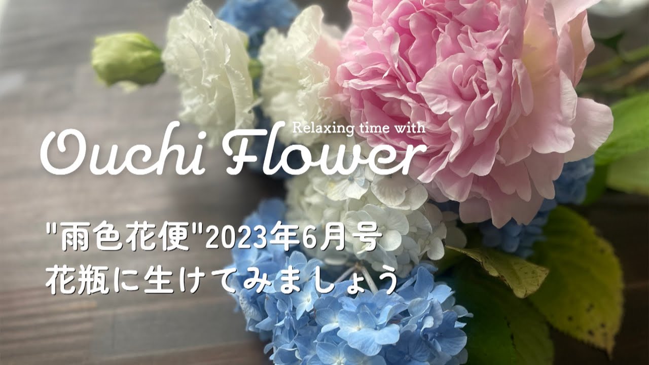 「雨色」花便☂シャクヤクとアジサイをメインに花瓶の生け方【おうちフラワー#76 】