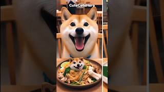 หมาชิบะกับแมวแข่งกันทำผัดไทย #CuteCatHero #cutecat #ชิบะ #ผัดไทย #แมวน่ารัก
