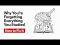 Why You’re Forgetting Everything You Studied (How to Fix It)
