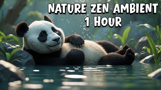 1-Hour Nature Zen Tranquility – Gentle Ambient Sounds for Calm &amp; Balance | Relaxing Panda