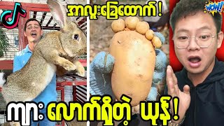 မသေခင်မြင်ဖူးသင့်တဲ့ Tiktok ပေါ်က ထူးထူးဆန်းဆန်းအရာများ???