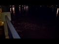6A ELK FLOODING WRAP ASHLEY