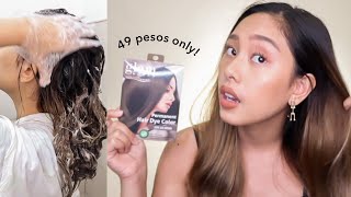 49 PESOS DIY HAIR COLOR (DARK ASH BROWN)
