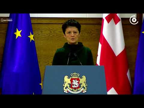 მინისტრები გერმანიაში საქართველოს ელჩის თანამდებობაზე დავით ნარმანიას შესაძლო დანიშვნას არ ადასტურებ