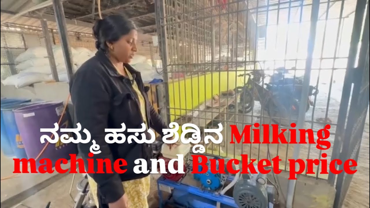 ನಮ್ಮ ಹಸು ಶೆಡ್ಡಿನ Milking machine and Bucket price||