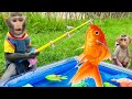 Baby Monkey Bim Bim and Obi go fishing and eat fruit with puppies in the garden
