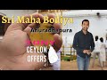 Jayasri Maha Bodiya Anuradhapura Temple Travel Sri Lanka Travel Tips Travel Vlog Jayasri Maha Bodiya Anuradhapura Temple Travel Sri Lanka Travel Tips Travel Vlog