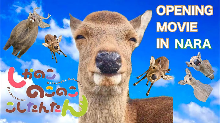 シカ色デイズ（Shikairo Days） - 奈良公園バージョン (My Deer Friend Nokotan)