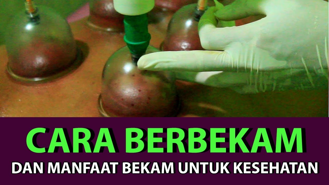 CARA BERBEKAM DAN MANFAAT BEKAM UNTUK KESEHATAN - YouTube
