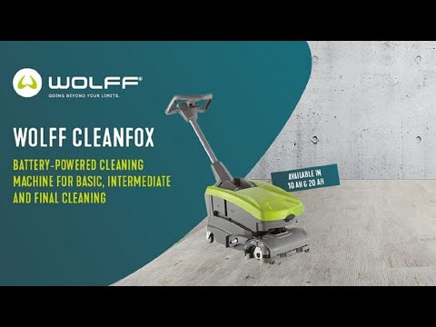The Wolff Cleanfox