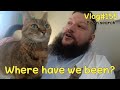 Searching for Bison 🦬 😻 Vlog #155