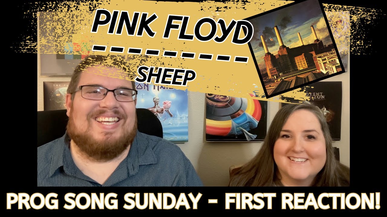 Pink Floyd - Sheep || Jana's First Reaction and Song REVIEW
