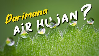 Proses terjadinya hujan