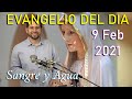 Evangelio Del Dia de Hoy - Martes 9 Febrero 2021- Las Tradiciones Nos Pueden Desviar - Sangre y Agua