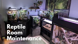 Reptile Room Maintenance!