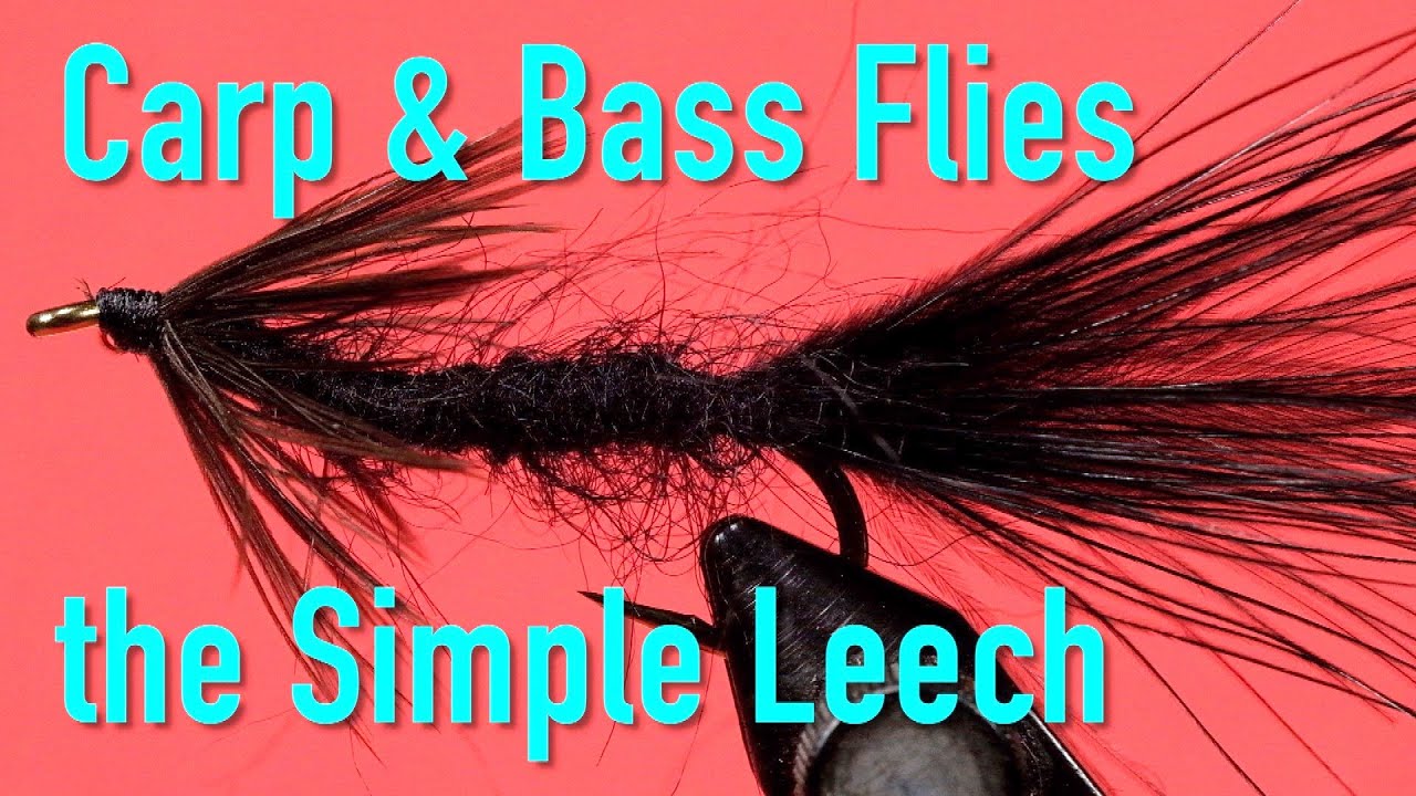 Carp and Bass Flies: a Simple Leech pattern - so many species love to eat  leeches 