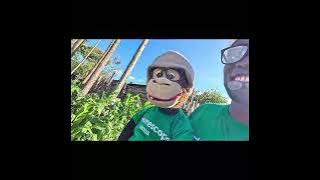 Tusaidie na meno yako Johnte #travelvlog #kinangop #viral #ventriloquism #subscribe