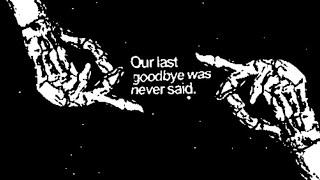 Watch Pete International Airport I Care video