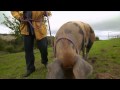 Max meets a retired couple living the Truffle dream life by the Sea