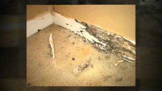 Aggie Property Inspections 770 676 - 5810