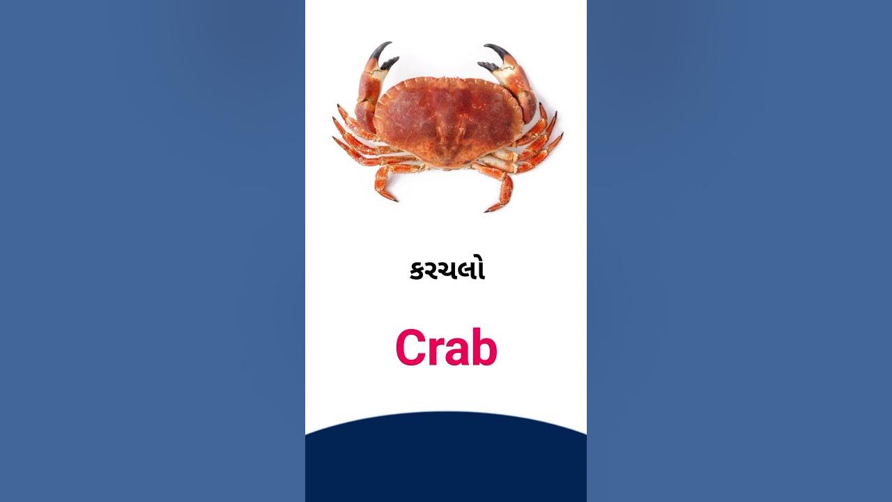 crab-meaning-in-gujarati-english-dictionary-youtube
