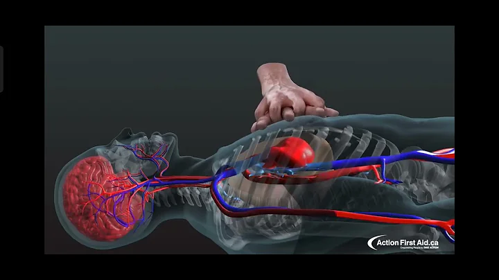 CPR in Action [A 3D look inside the body]