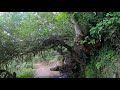 RUTAS DE SENDERISMO - CANALES ROMANOS, LLAMAS DE CABRERA, MINA DE ORO DE LA CASARINA.