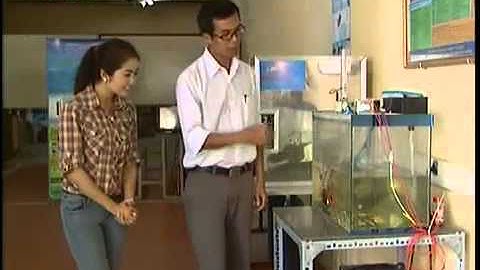 Xu ly nuoc thai y te bang plasma, VTV2, kham pha khoa hoc, phòng nghiên cứu năng lượng và môi trường