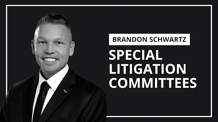 Special Litigation Committees