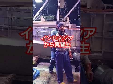 船上箱詰めとは　なるほど　極上サンマ水揚げ　根室