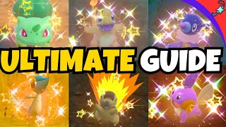 ULTIMATE Shiny Hunt ALL 24 Starters in Pokemon Indigo Disk