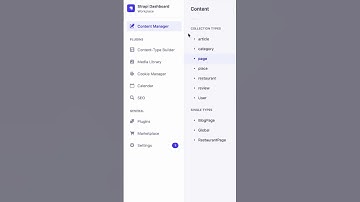 Strapi Short: Field-Level Internationalization