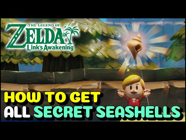 Zelda: Link's Awakening: All Secret Seashells Map and Locations