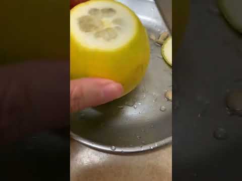 柳丁切塊