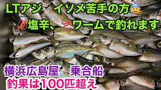 LTアジ　東京湾　釣り船　ライトアジの餌をイソメ以外でチャレンジ‼️イカの塩辛とガルプワームで爆釣のアジ100匹以上‼️横浜　広島屋　アジ乗合船　2021冬