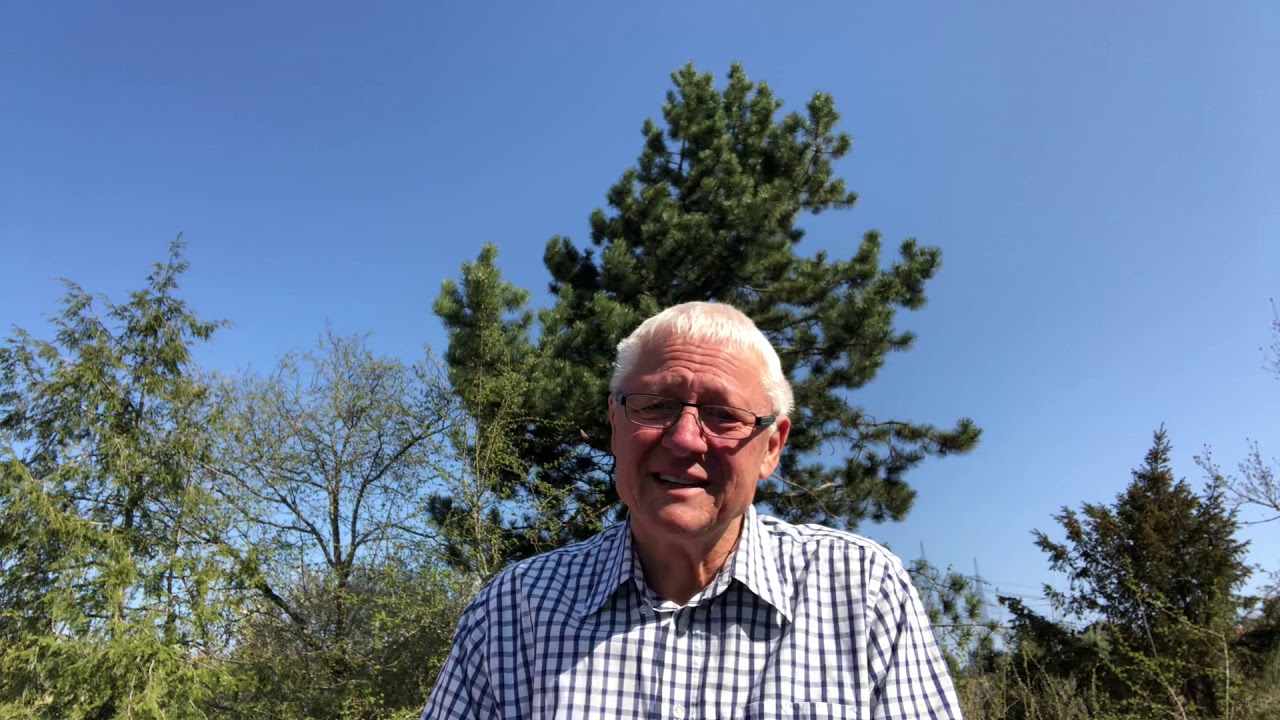 Gott ist ein Gott der Wunder tut - Wilfried Mann