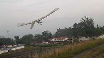 OR-2B | 5.2 | Asymmetric elasticity via LE hinge