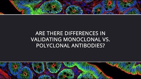 Are There Differences in Validating Monoclonal vs. Polyclonal Antibodies?