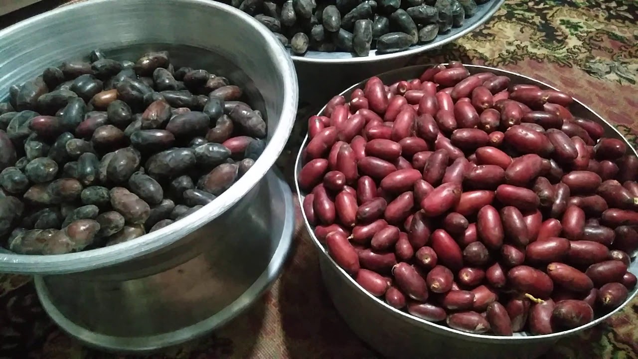 طريقه تخزين البلح الرطب وعمل العجوه