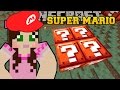 Minecraft: WORLD OF SECRET BLOCKS! - SUPER MARIO BROS - Custom Map [7]