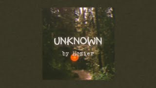 Unknown - Hozier (lyrics)